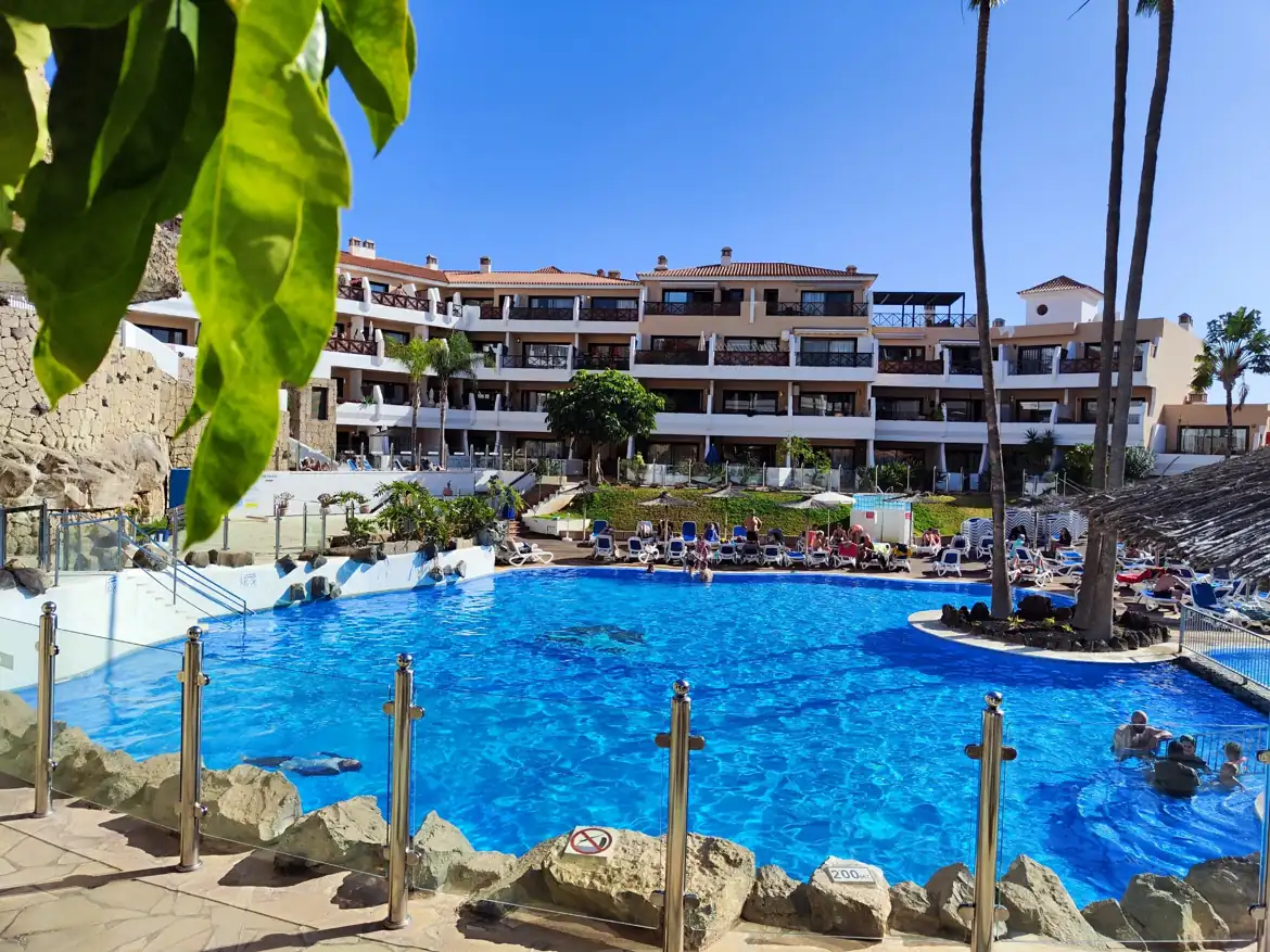 optimized23 Sunny hotel pool with lounging guests and greenery.
